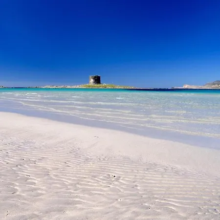 Fronte Mare Nel Cuore Di Stintino